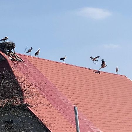 Storchenhof Apartman Eutin Kültér fotó