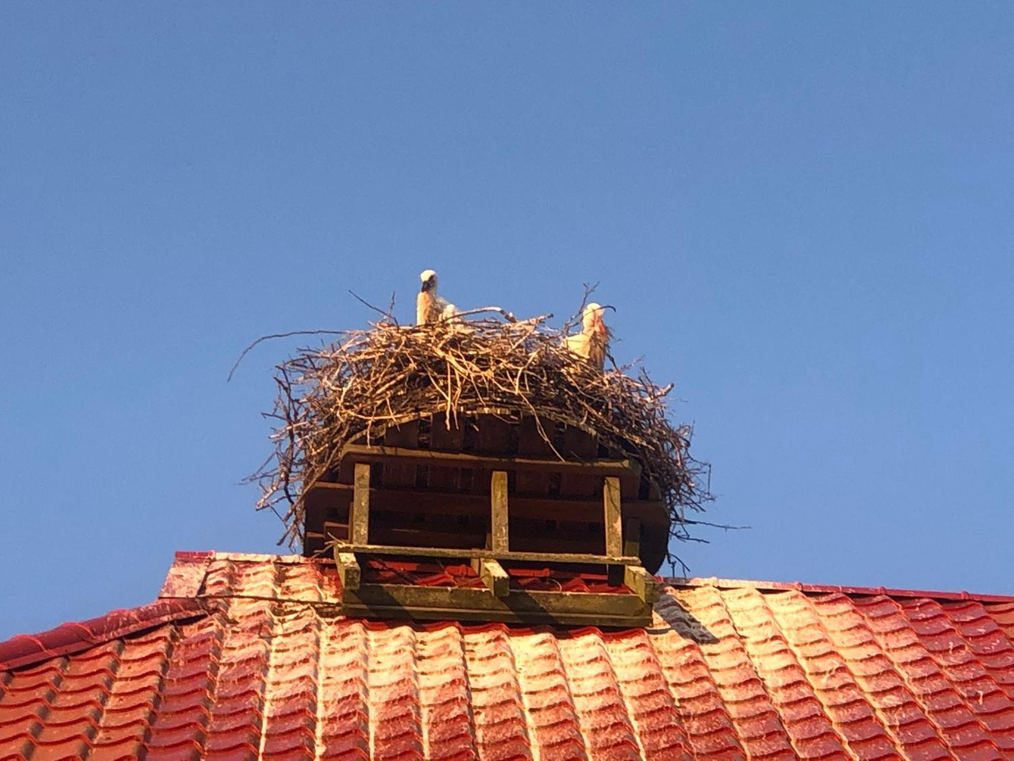 Storchenhof Apartman Eutin Kültér fotó